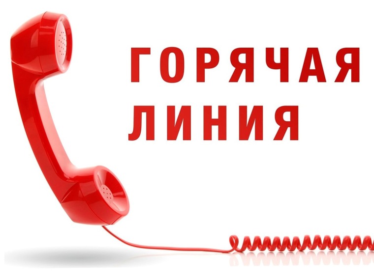 Всероссийская горячая линия по вопросам организации питания.